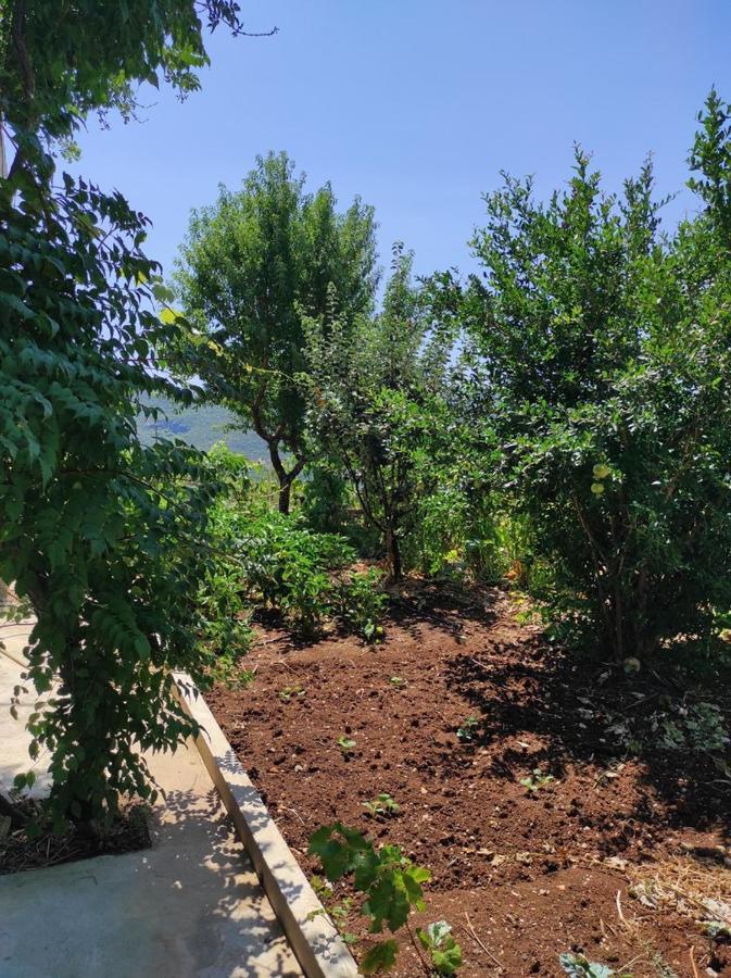 One Bedroom Apartment Gogo With Private Parking Neum Eksteriør bilde
